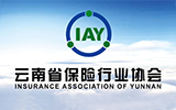 云南省保险行业协会2020年度财务工作报告