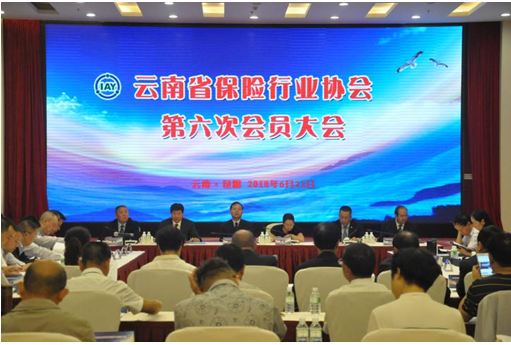 云南省保险行业协会召开第六次会员大会