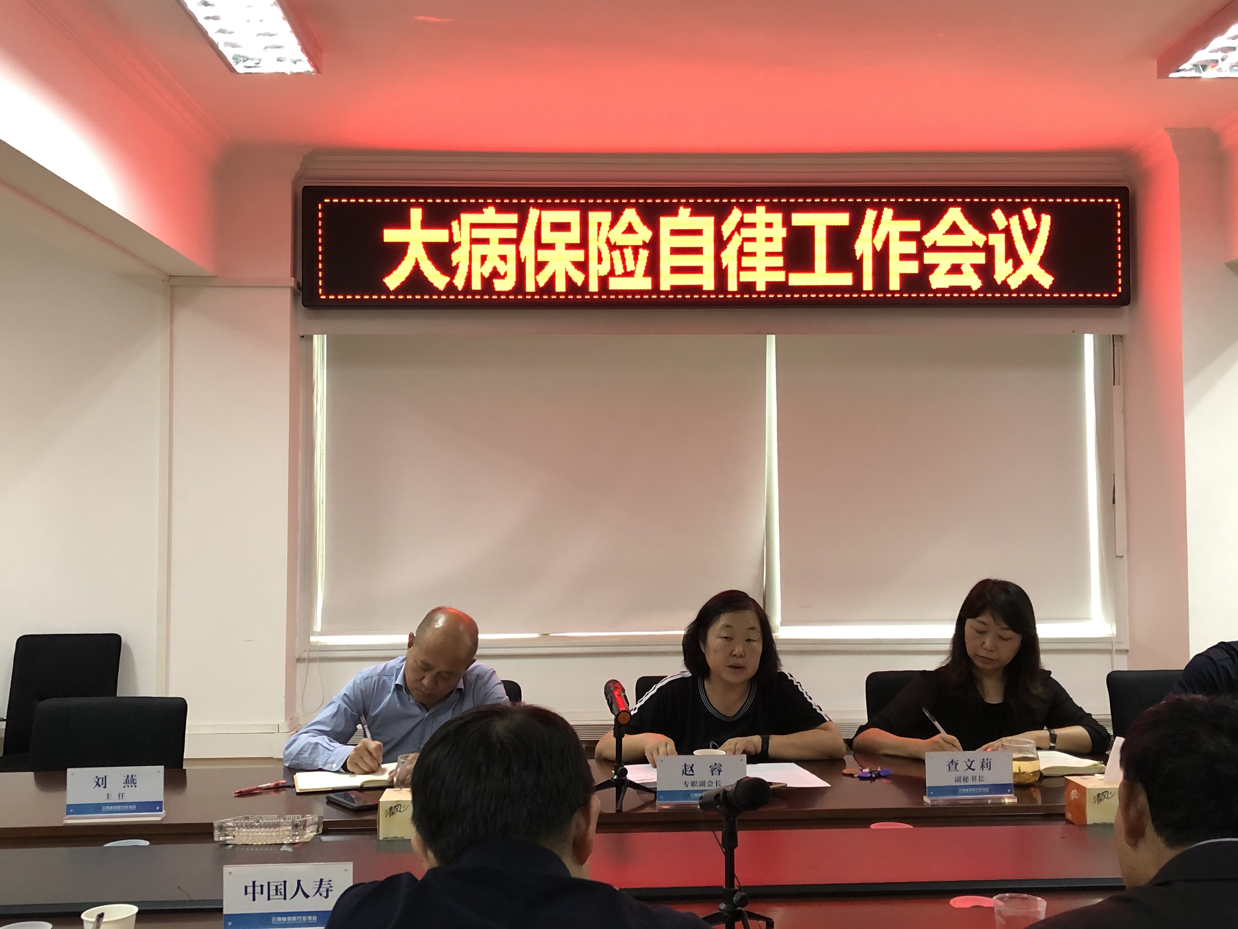 云南省保险行业协会召开大病保险自云南省保险行业协会召开大病保险自律工作会议律工作会议