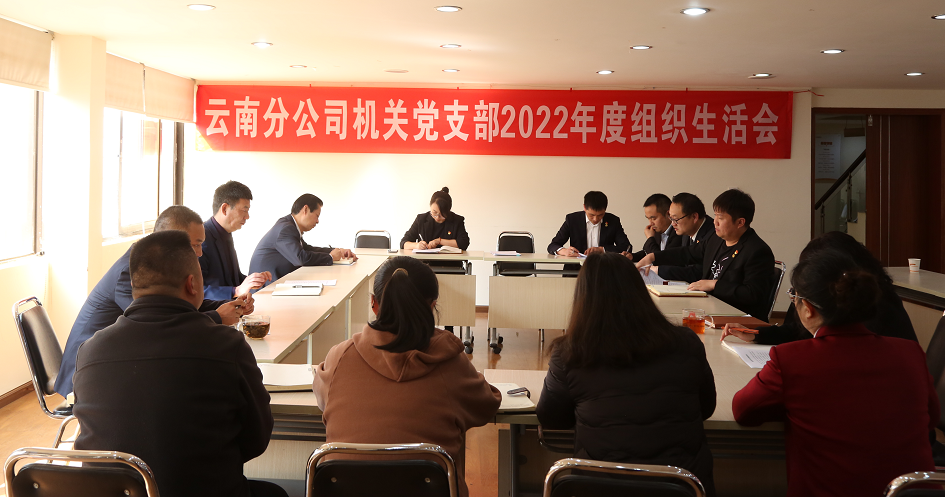 阳光产险云南省分公司机关党支部召开2022年度组织生活会和民主评议党员会议