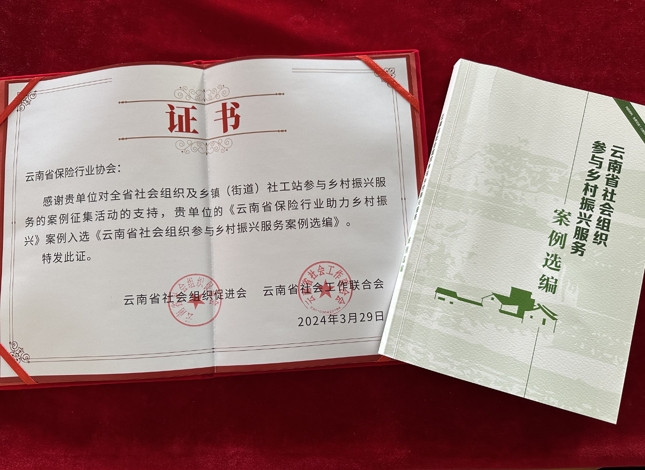 云南省保险行业协会入选 《云南省社会组织参与乡村振兴服务案例选编》