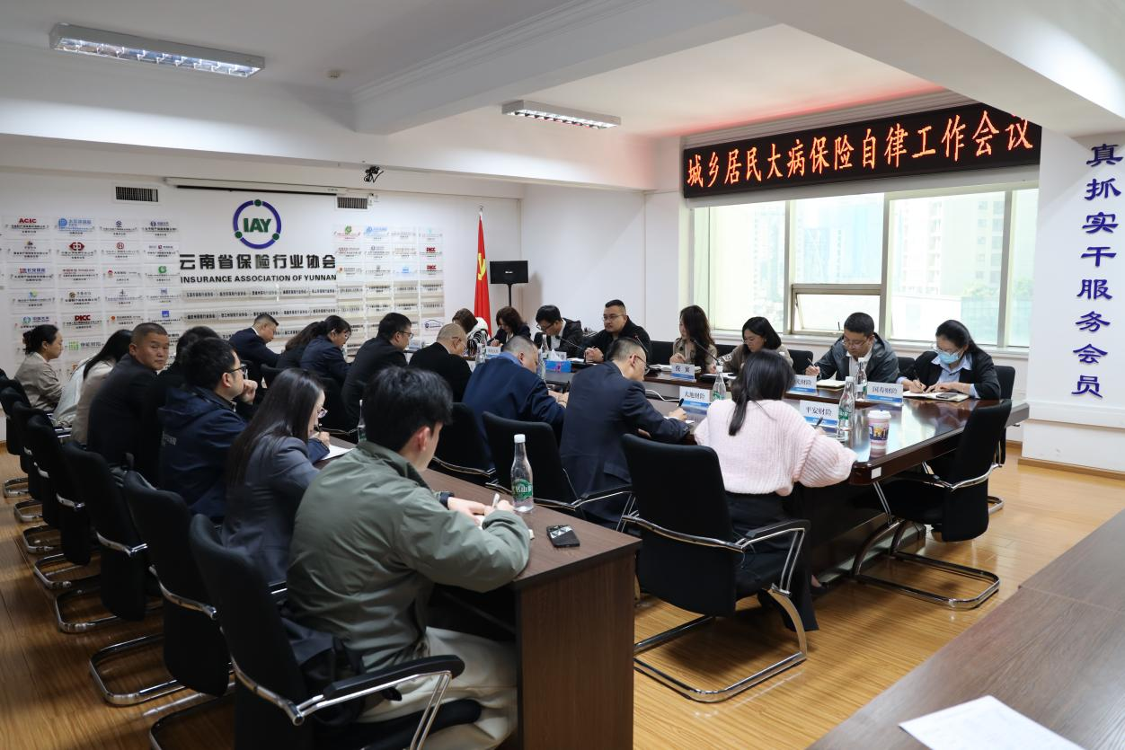 云南省保险行业协会 召开城乡居民大病保险自律工作会议