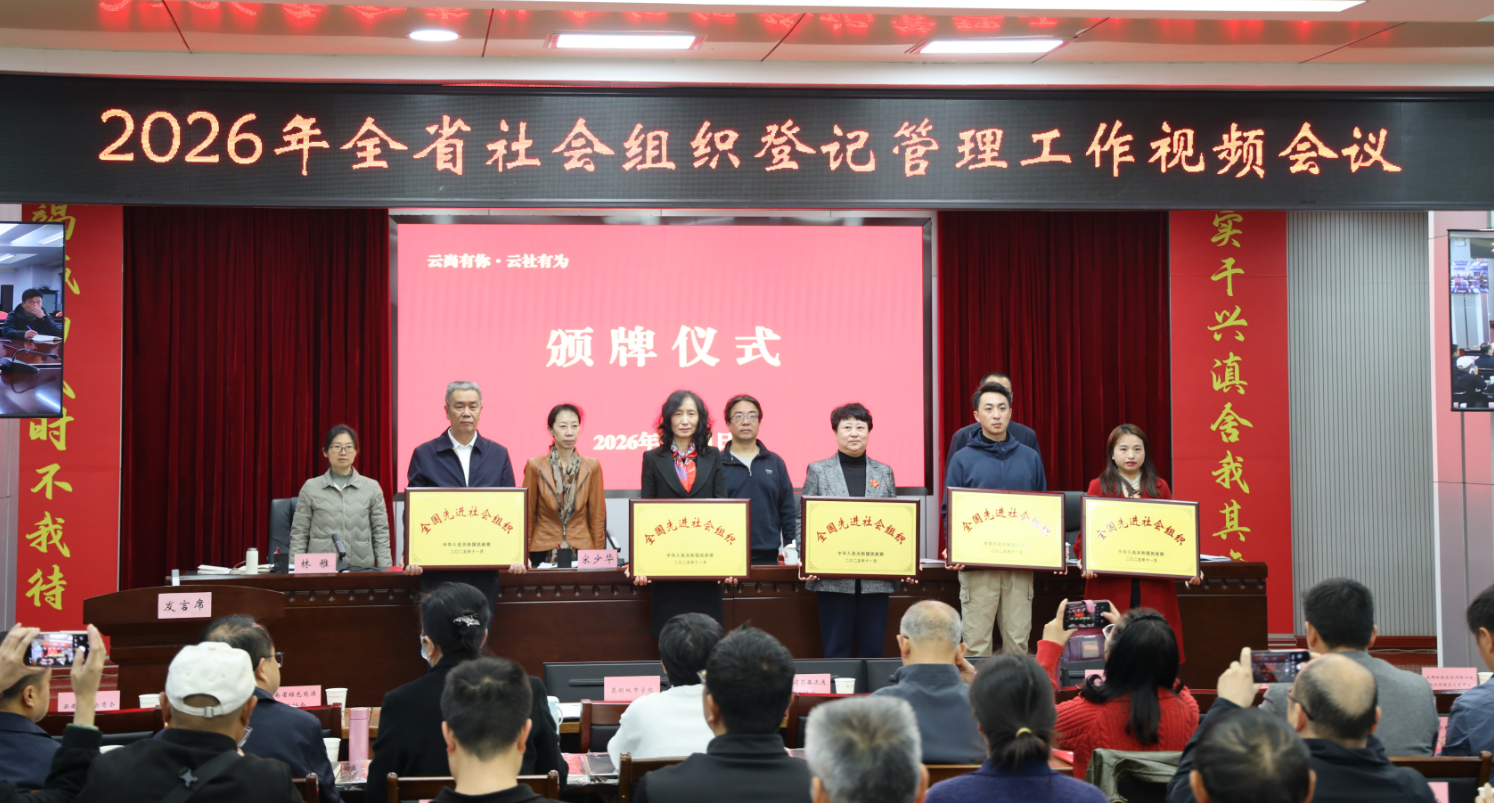 云南省保险行业协会受颁“全国先进社会组织”奖牌并做交流发言